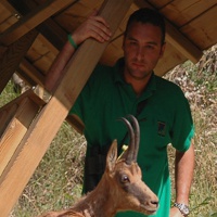 fabrizio